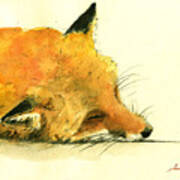 Sleeping Fox Poster