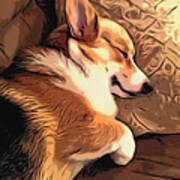 Banjo The Sleeping Welsh Corgi Poster