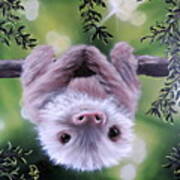 Sloth'n 'around Poster