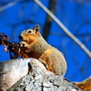 Snack Time Poster