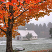 Snow Dust Over Autumn Foliage Poster