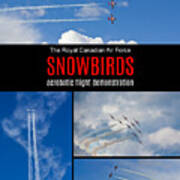 Snowbirds Collage 2 Poster