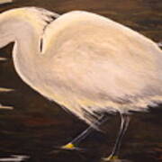 Snowy Egret Poster