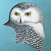 Snowy Owl Portrait 3 Poster