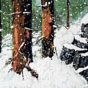 Snowy Redwood Dream Poster