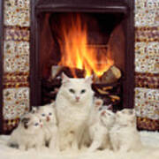 Snuggle Up With Mother By The Fire Poster