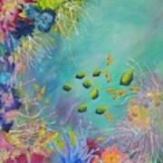 Soft And Hard Reef Corals Poster