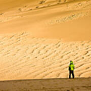 Solitude In The Dunes Poster
