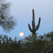 Sonoran Desert Moonset Poster