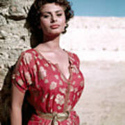 Sophia Loren, 1950s Poster