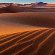 Sossusvlei Sand Dunes Poster