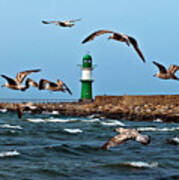 Sound Of Seagull Poster