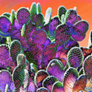 Southwest Desert Cactus Poster