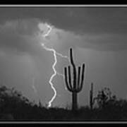 Southwest Saguaro Cactus Desert Storm Panorama Bw Poster