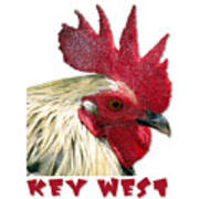 Special Edition Key West Rooster Poster