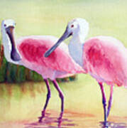 Spoonbills Poster