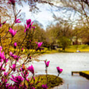 Spring Awakens - Landscape Poster