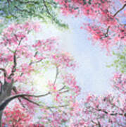Spring Blossoms Poster