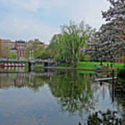 Spring In The Boston Public Garden Boston Ma Poster