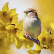 Spring Sparrow Poster