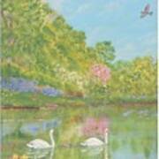 Spring Swans Anniversary Card Poster