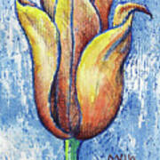 Spring Tulip Poster