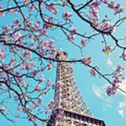 Springtime In Paris - Eiffel Tower Photograph Poster