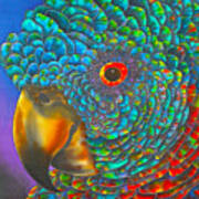 St. Lucian Parrot - Exotic Bird Poster