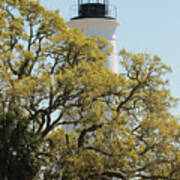 St Marks Lighthouse With Spring Oak Poster