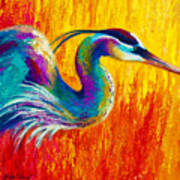 Stalking The Marsh - Great Blue Heron Poster