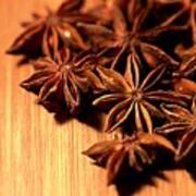 Star Anise Poster