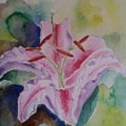 Stargazer Lily Watercolor Still Life Gift Poster