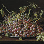 Still Life. Fruit Bowl With White And Red Grapes Poster