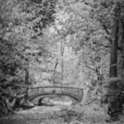 Stone Bridge In The Woods Poster
