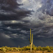 Stormy Arizona Skies Poster