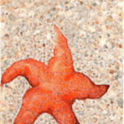 Stranded Starfish Poster