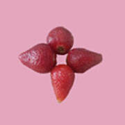 Strawberry Flower Poster