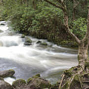 Stream Below Torc Waterfall Killarney National Park Poster