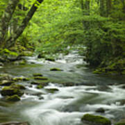 Stream In The Smokies Poster