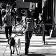 Street Dog Walking Poster
