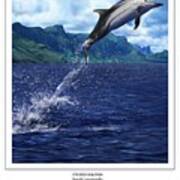 Striped Dolphin Poster