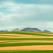 Stripes Of Crops Poster