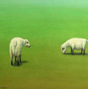 Study Of Two Sheep Poster