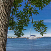 Summer On Lake Champlain Poster