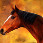 Summers End Quarter Horse Painting Poster