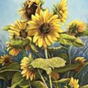 Summertime Sunflowers Poster