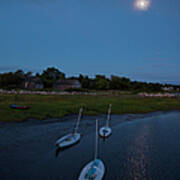 Sunfishes In Moonlight Poster