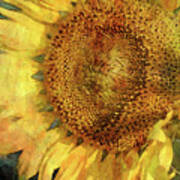 Sunflower 2254 Idp_2 Poster