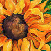 Sunflower #5 Poster