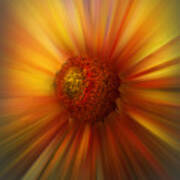 Sunflower Dawn Zoom Poster